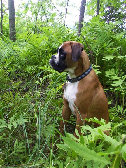 Igor 8 months old