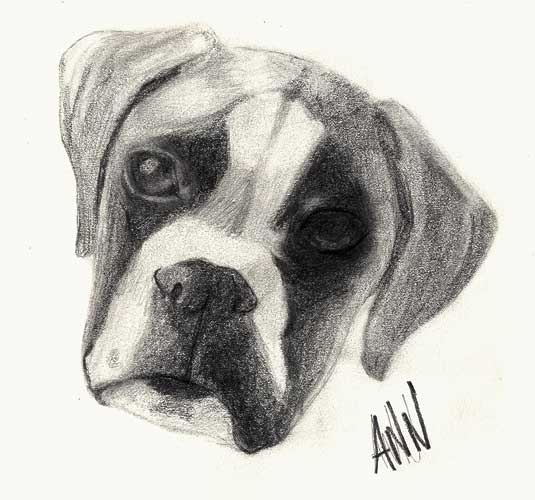 Igor drawing