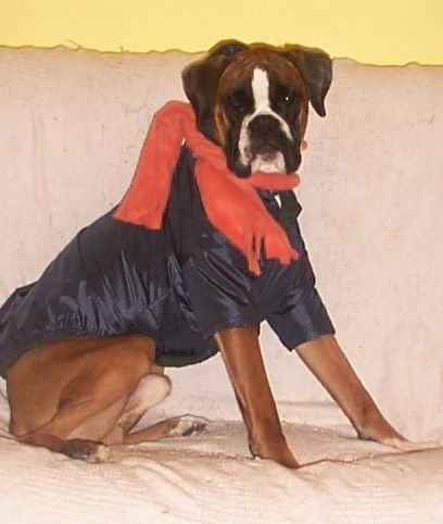 Igor's coat
