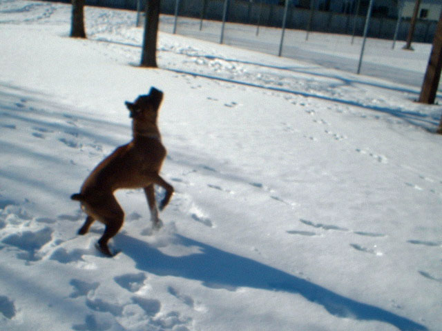 I'll catch it!!