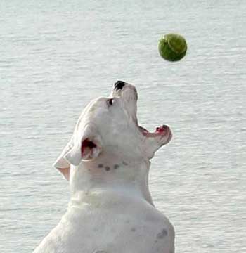 I'll get it!!!!
