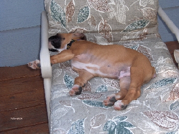 I'll sleep anywhere......