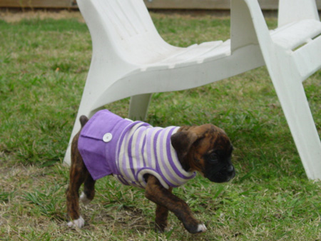 Ilsa's sunday dress... hehe!