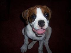 I'm a Happy Boy!