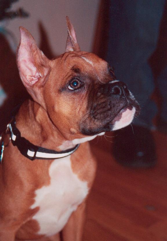 I'm all ears