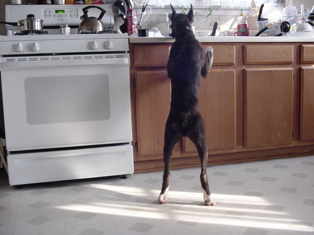 I'm all legs!!