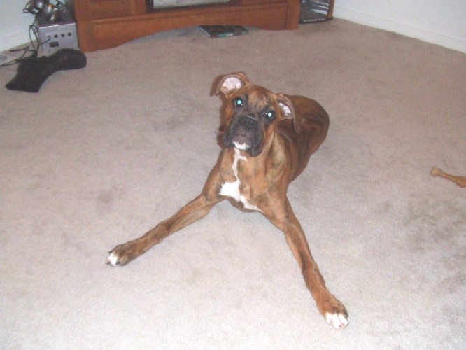 I'm All Legs!!!