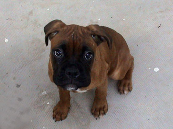 I'm almost 3 months