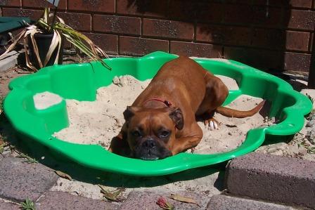 Im Bored. I want to go down the beach
