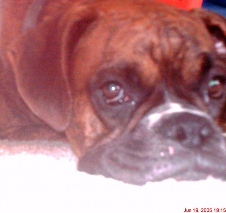 I'm bored mom!