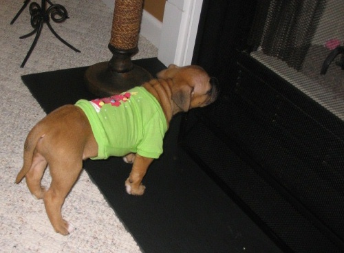 I'm cold and 6 weeks old