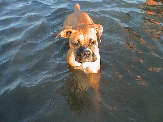 I'm cold and wet!