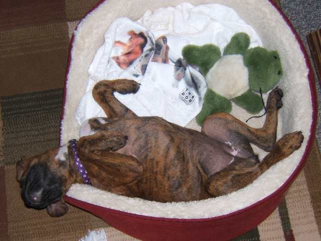 I'm comfortable
