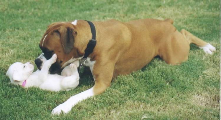 I'm enjoying my new big brother