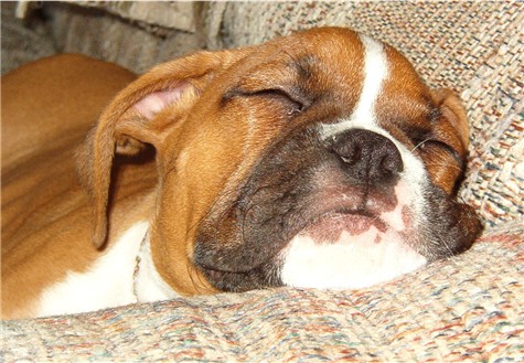 I'm Exhausted!