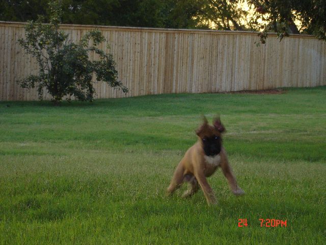 I'm Fast....almost like a blur in your camera