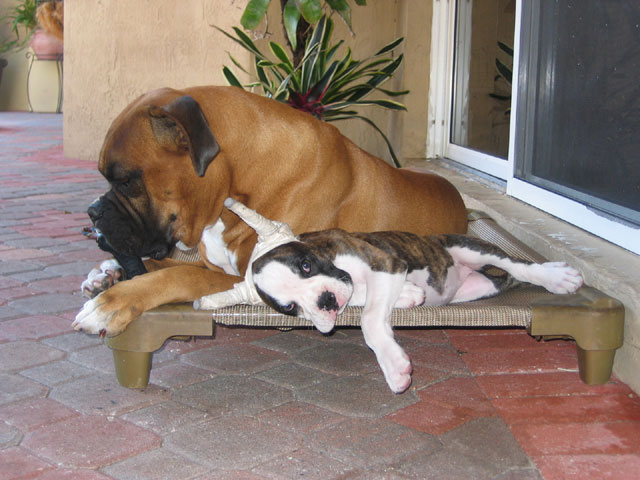 I'm feeling sleepy...