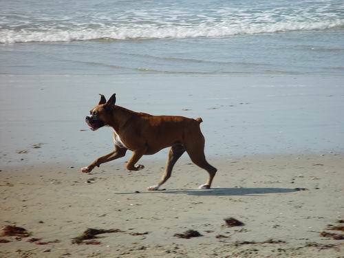 I'm flying!