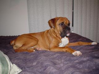 I'm Getting Big!