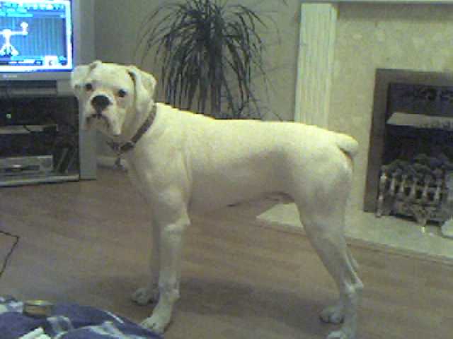 I'm getting bigger by the day!