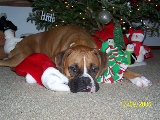 Im getting tired mom :(