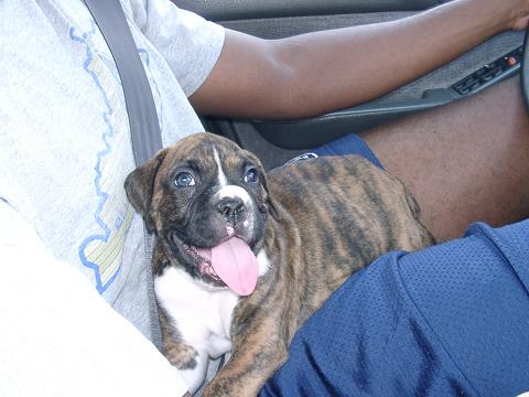 I'm going home!