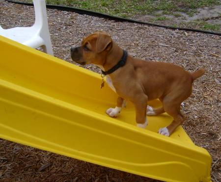 "I'm going to come up there & get you!"