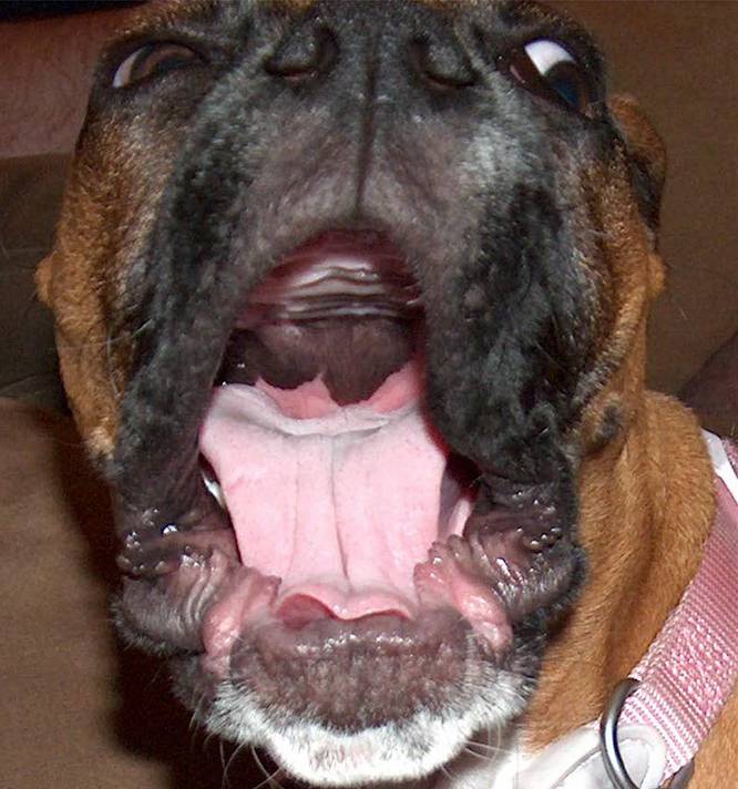 I'm gonna eat you!