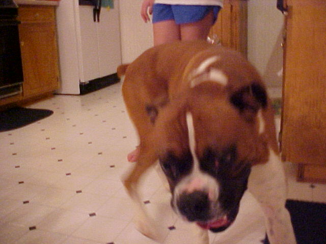 I'm gonna get that camera!