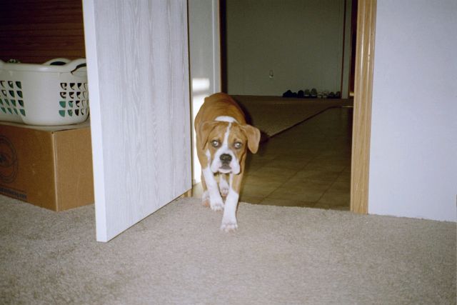I'm gonna get you!