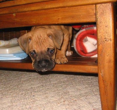 I'm hiding 6 wks