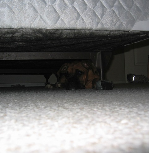 I'm hiding from you!