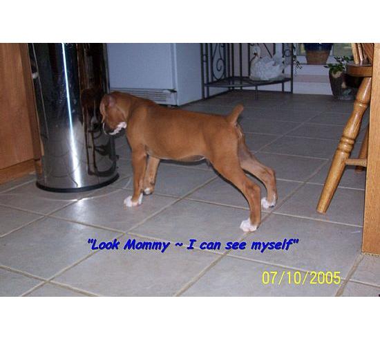 I'm Hungry