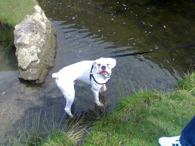 I'm in the water