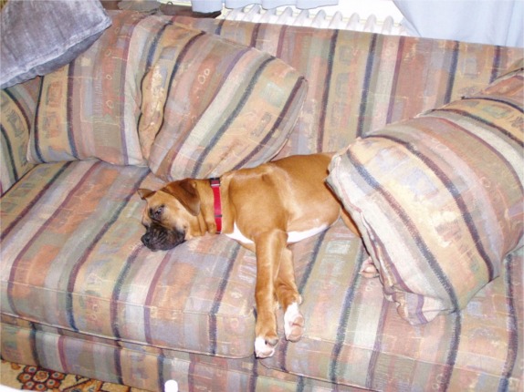 I'm just soooo tired