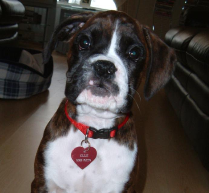 I'm just too cute!!!!