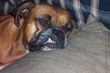 I'm just too tired to fix my lip.