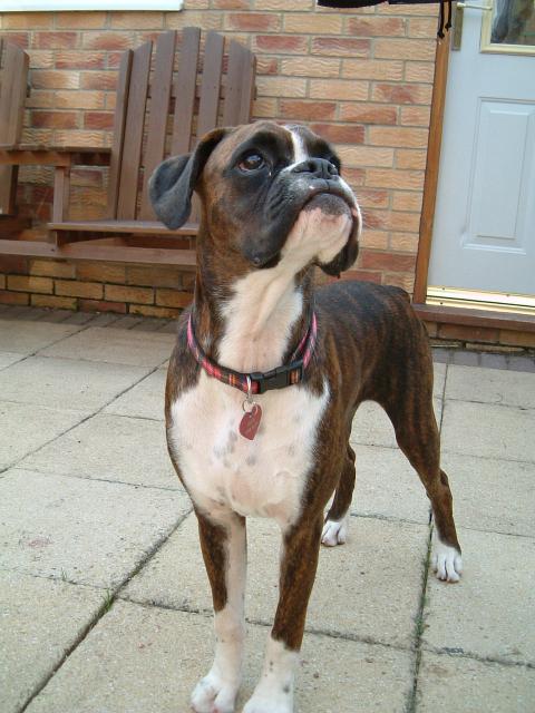 I'm much cuter this side!