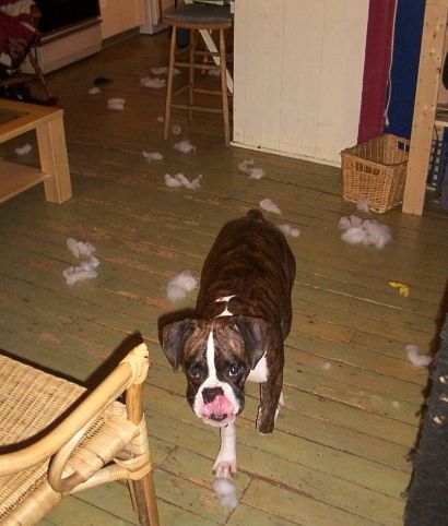 I'm not cleaning!