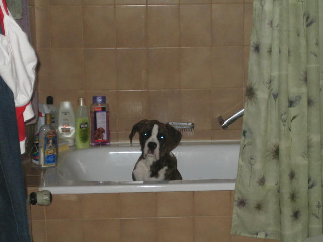 I'm not doing anything!