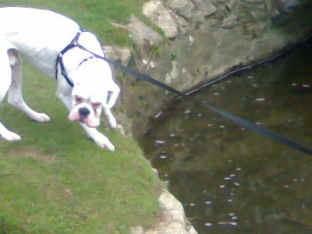 I'm not going in there!