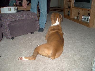 Im not looking at you...