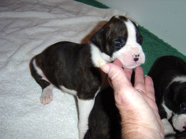 Im only 3 weeks.