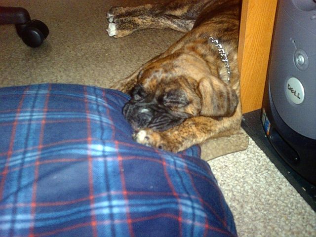 Im pooped!