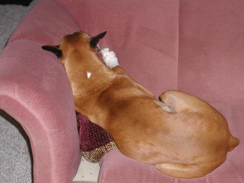 I'm pouting.  Have you noticed?