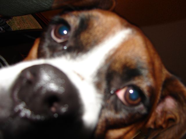 I'm ready for my close-up Mom.