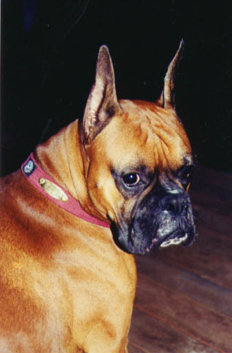 "I'm ready for my close-up, Mr. DeMille"