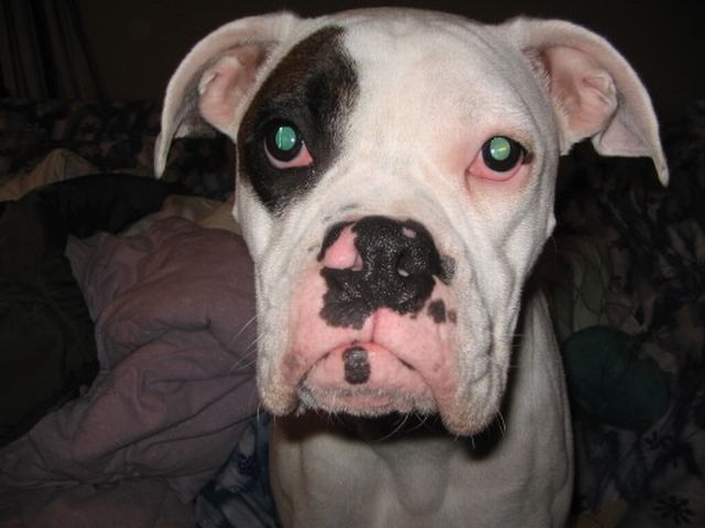 I'm ready for my close-up!