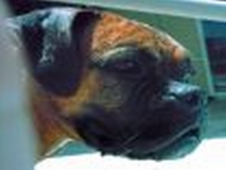 I'm ready for my close-up...