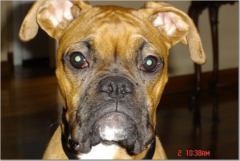 i'm ready for my closeup